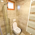 Wooden Baznik With Hot Tub *