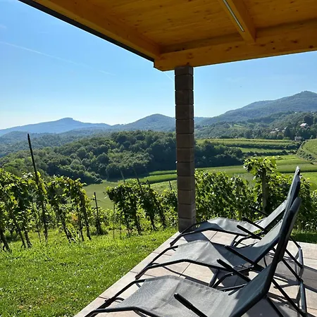 Wooden Baznik With Hot Tub Cerklje ob Krki