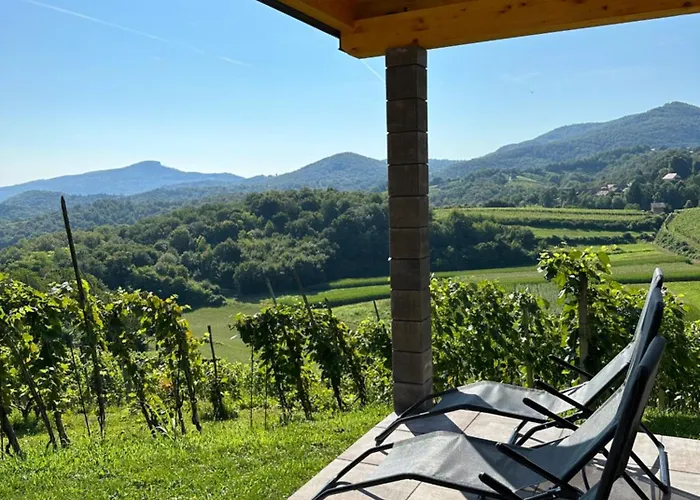 Wooden Baznik With Hot Tub Cerklje ob Krki